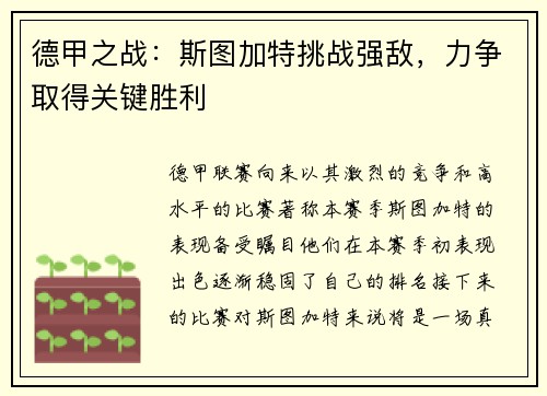 德甲之战：斯图加特挑战强敌，力争取得关键胜利